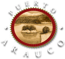 Puerto Arauco | Cabañas en Villa la Angostura